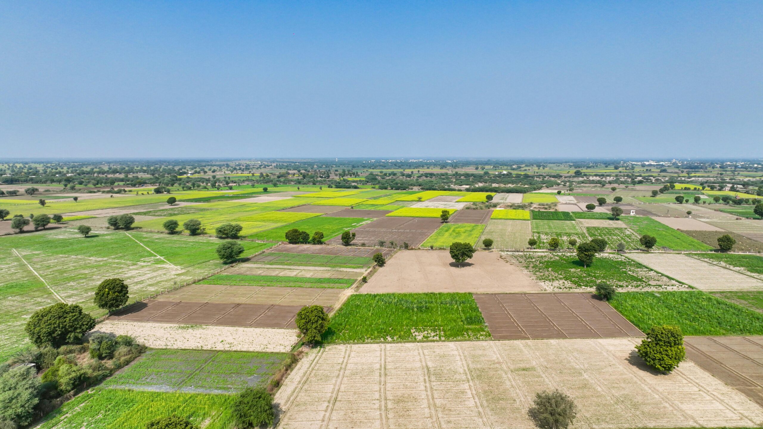 pexels shootsaga 35101084