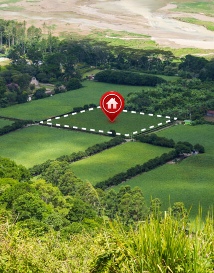 ~ai 76c215bc bd41 42ab 9e82 06048c7df3f5